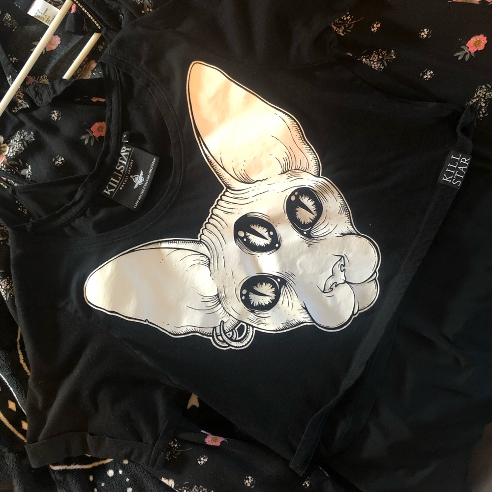 Kitty crop too